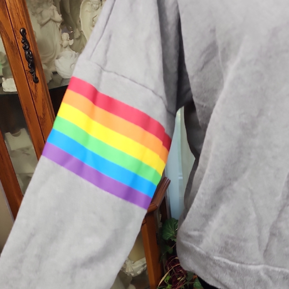 HOT TOPIC | LGBTQIA+ Pride Rainbow Heart Embroidered Cropped Hoodie Gray | M L - Picture 3 of 9